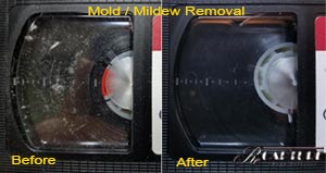 VHS mold removal and cleaning photo